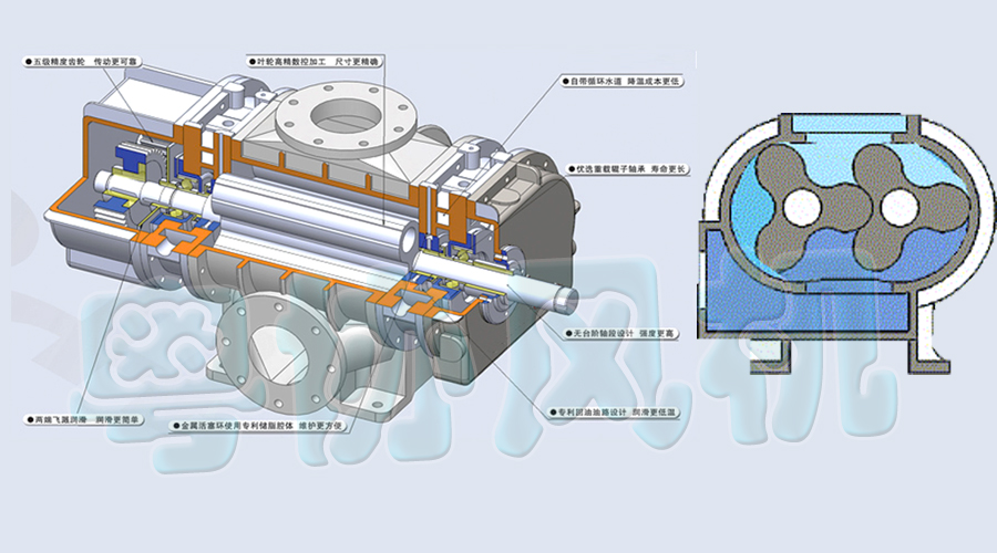 1486714687986288.jpg 1.jpg