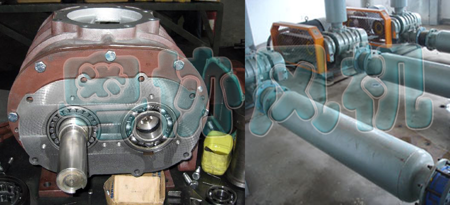 1486717125712606.jpg 7.jpg