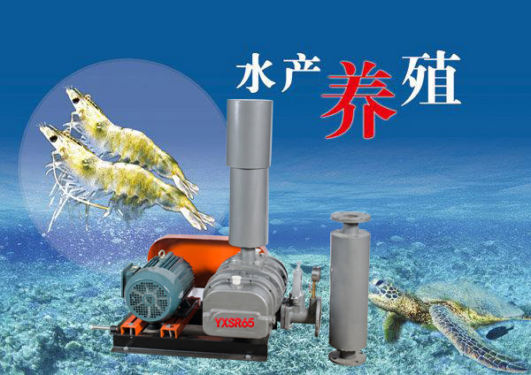 水產(chǎn)養(yǎng)殖風(fēng)機(jī).jpg