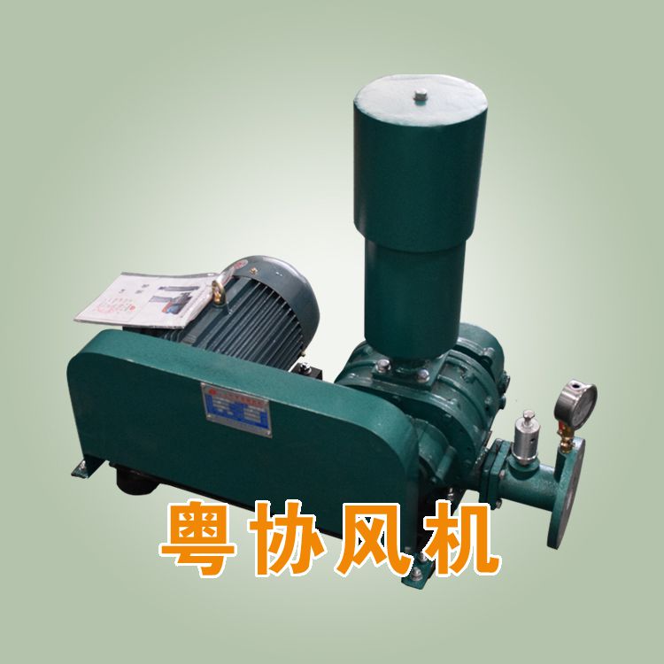 50型羅茨鼓風(fēng)機.jpg