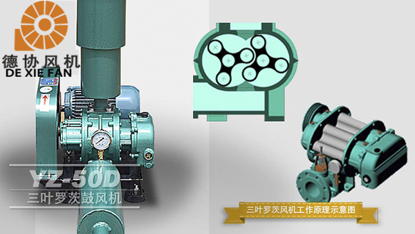 1615530020866623.jpg 【圖02】正羅水YZ-50D.jpg