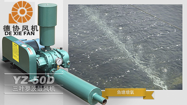 1615530027991164.jpg 【圖03】正羅水YZ-50D.jpg