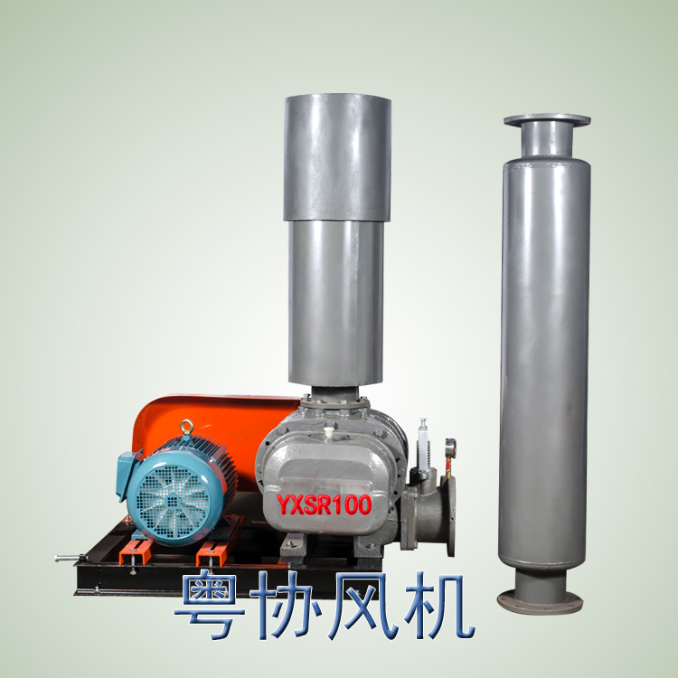 環(huán)保羅茨風(fēng)機(jī) 環(huán)保羅茨風(fēng)機(jī)