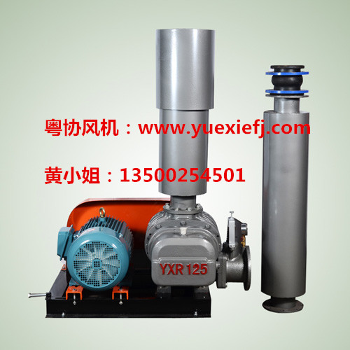 高溫羅茨風(fēng)機(jī) 高溫羅茨風(fēng)機(jī)